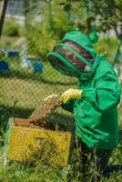 imker in een groen pak verhoogt kader van de bijenkorf. foto
