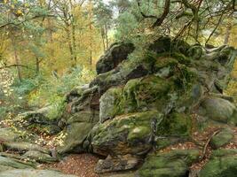 de Teutoburger Woud in Duitsland foto