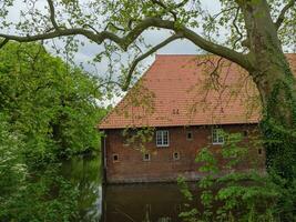 herten in de Duitse ruhr gebied foto