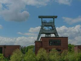 herten in de Duitse ruhr gebied foto