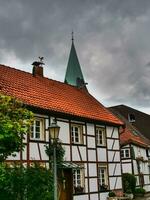 herten in de Duitse ruhr gebied foto