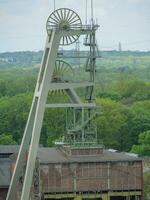 herten in de Duitse ruhr gebied foto