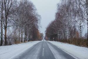 met sneeuw bedekt weg met berken zonder gebladerte. auto Aan een glad weg. gerold bijhouden Aan eerste sneeuw. Gevaar van drijft. foto