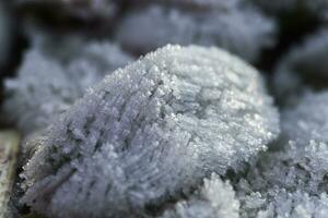 bladeren van planten gedekt met ijs Kristallen. vorst Aan grond. eerste vorst. verkoudheid seizoen. vallen koud. foto