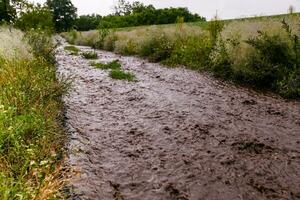 streams van water vloeiende langs de landelijk weg. overstroming na de regen. foto