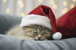 Schots gestreept kat in rood Kerstmis hoed, ai gegenereerd foto