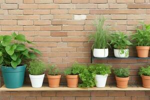 schappen met verschillend combinaties van planten en potten. achtergrond. ai generatief pro foto
