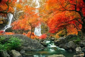 verbazingwekkend in natuur, mooi waterval Bij kleurrijk herfst Woud in vallen seizoen foto