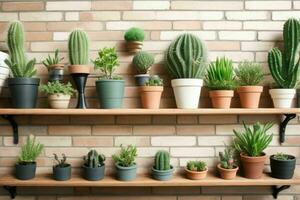 schappen met verschillend combinaties van cactus en potten. achtergrond. ai generatief pro foto