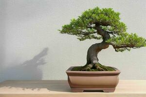 mooi bonsai in minimalistische pot. achtergrond. ai generatief pro foto