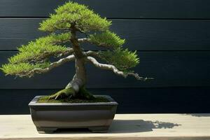 mooi bonsai in minimalistische pot. achtergrond. ai generatief pro foto