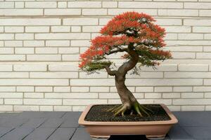 mooi bonsai in minimalistische pot. achtergrond. ai generatief pro foto