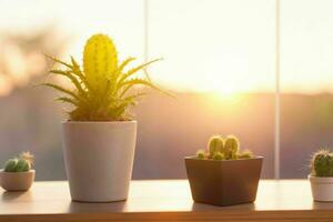 venster en cactus planten Aan wazig achtergrond. ai generatief pro foto
