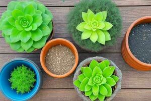 top visie een dichtbij omhoog van planten in potten Aan een tafel. achtergrond. ai generatief pro foto