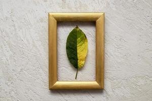 geelgroen gevallen blad in een gouden fotolijst foto