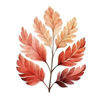 mini reeks van herfst bladeren, waterverf illustratie, blad val, clip art, element foto