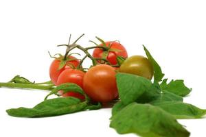 tomaat over bladeren op witte achtergrond