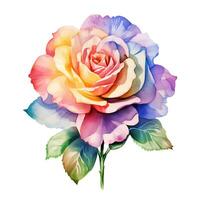 mooi waterverf illustratie van kleurrijk roos Aan wit achtergrond foto