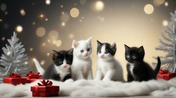 schattig zwart en wit kittens spelen tegen Kerstmis sfeer achtergrond met ruimte voor tekst, achtergrond afbeelding, ai gegenereerd foto