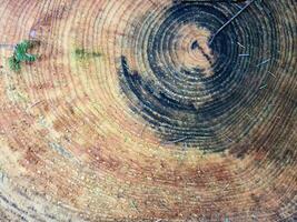 hout oppervlakken tonen planken en houten muren foto