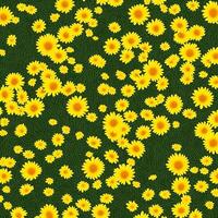 geel madeliefje bloemen achtergrond. bloem behang achtergrond ontwerp. ai gegenereerd afbeeldingen foto