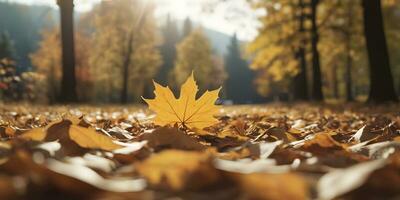 herfst seizoen doorbladert fabriek tafereel ai gegenereerd foto