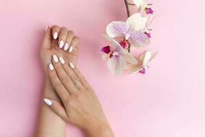 subtiel vingers van een mooi jong vrouw handen met wit nagels Aan een roze achtergrond met orchidee bloemen foto