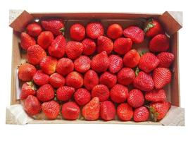 aardbeien fruit doos foto