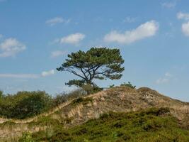 het eiland Spiekeroog foto