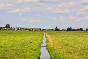 een klein stroom loopt door een veld- foto