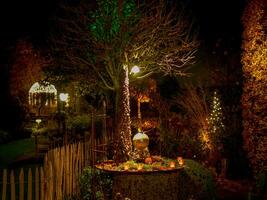 Kerstmis tijd in de tuin foto