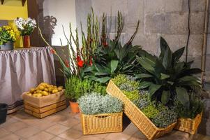 bloemenfestival in girona temps de flors, spanje. 2018 foto