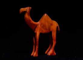 een houten beeldje van een kameel foto
