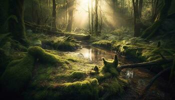 mysterieus mist dekens rustig Woud, onthullend natuur betoverend schoonheid gegenereerd door ai foto