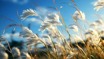 zomer weide geel tarwe, groen gras, blauw lucht, levendig natuur gegenereerd door ai foto