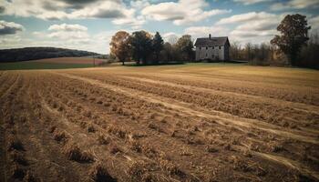 landelijk boerderij te midden van rustig groen weilanden uitgestrekt horizon gegenereerd door ai foto