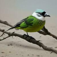 zomer, boom, humor, vogel, jong vogel, geel licht, dood gaan snee, gans - vogel, vlieg omhoog, kudde van vogels, roze, landelijk tafereel, zwart kleur, blauw vogel, vogel aan het kijken, grappig, geweldig, zwart, foto