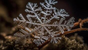 winter ijzig macro sneeuwvlok patroon Aan bevroren Spar boom Afdeling gegenereerd door ai foto