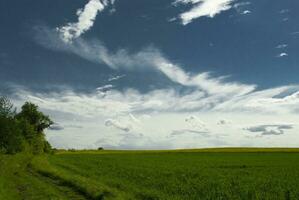 minimaal lucht landschap foto