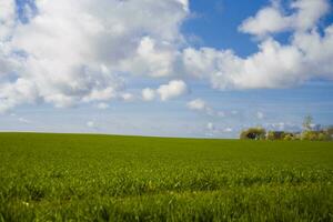 minimaal lucht landschap foto