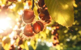 detailopname van vers kastanjes Aan levendig herfst Woud. ai generatief foto