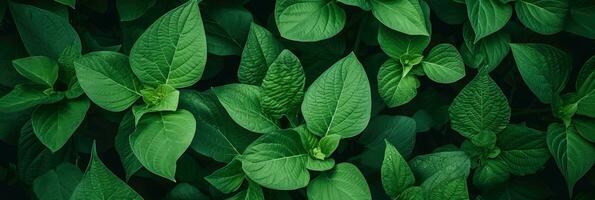 ai generatief groen natuur bladeren foto