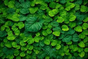 groen bladeren achtergrond, natuur bladeren behang, bladeren achtergrond, bladeren behang, ai generatief foto