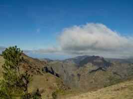 het eiland madeira foto