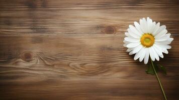 madeliefje bloem Aan hout achtergrond met kopiëren ruimte, ai generatief foto