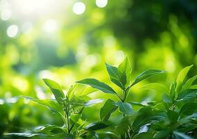 dichtbij omhoog van groen blad in een tuin Bij zomer onder zonlicht met wazig achtergrond. generatief ai foto