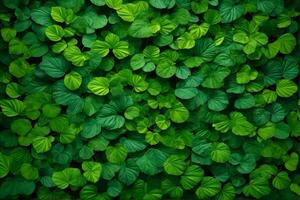 groen bladeren achtergrond, natuur bladeren behang, bladeren achtergrond, bladeren behang, ai generatief foto