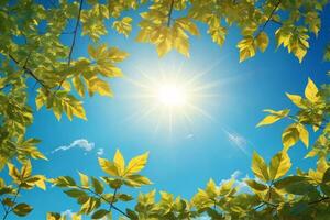 bladeren tegen blauw lucht met helder zonneschijn, zonnig lucht achtergrond, zon en bladeren behang, natuurlijk achtergrond, ai generatief foto