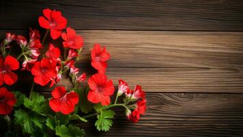 geranium pelargonium bloem Aan hout achtergrond met kopiëren ruimte, ai generatief foto