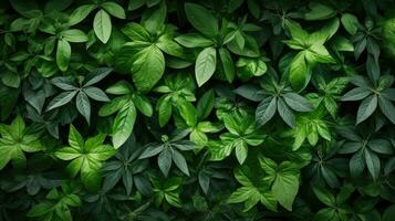 flatlay natuurlijk groen vers top visie ai gegenereerd foto